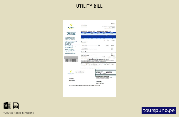 lista para imprimir plantilla de factura de servicios públicos de Texas TriEagle